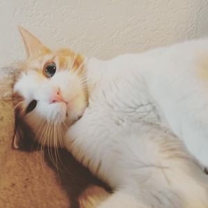 Meet your Posher, Abi